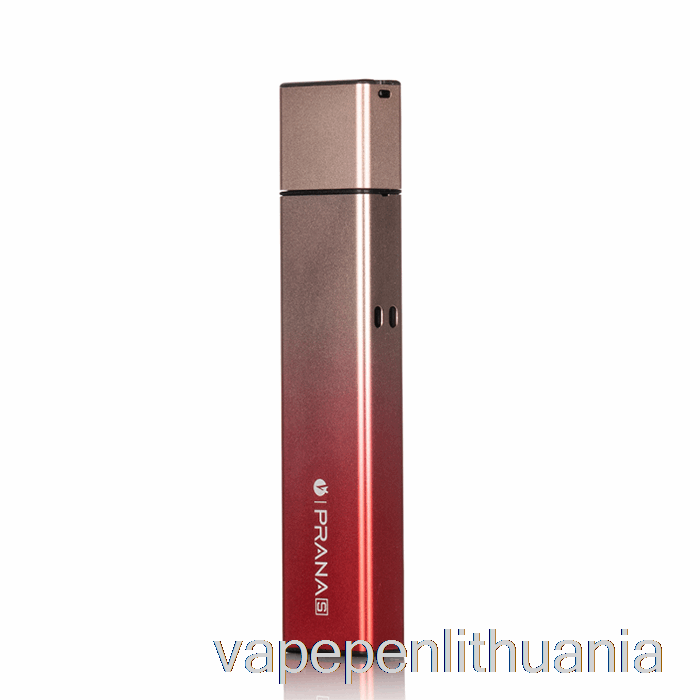 Pamestas Vape Prana S 12w Pod System Fantasy Pink Vape Liquid